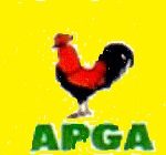 All Progressives Grand Alliance (APGA)